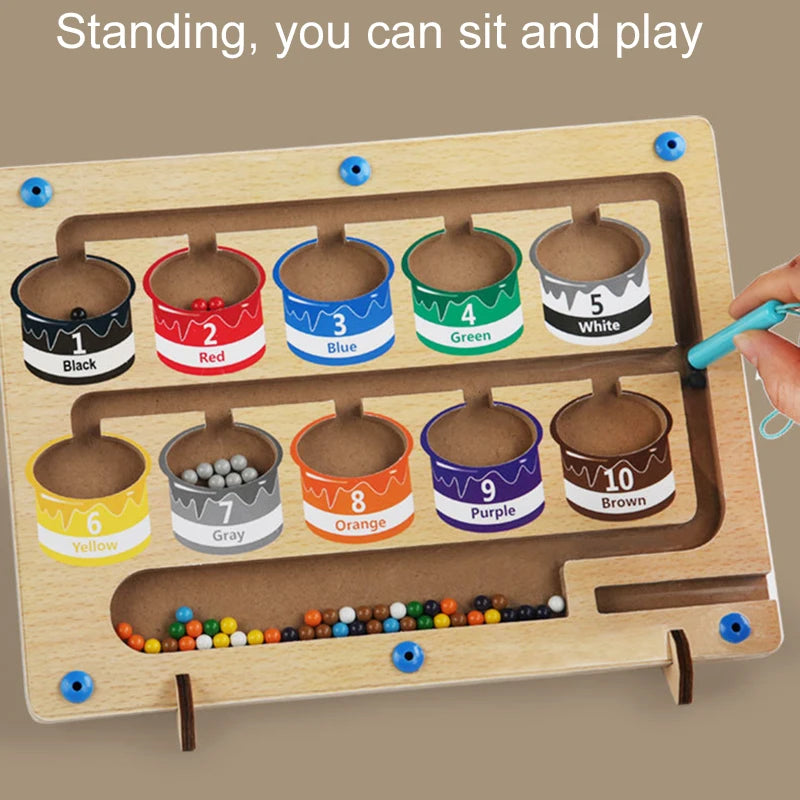 Montessori Magnetic Pen Ball Movement Game for Color Sorting and Counting - Fine Motor Skills Development Educational Toy